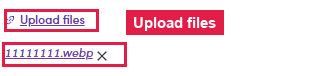 Upload files and attachment